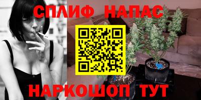 мяу мяу мука Кумертау